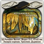 3Д Релефни Магнити Ягодинска пещера 33-1 1
