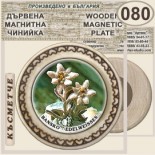 Банско :: Дървени чинийки и поставки 12