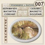 Ягодинска пещера :: Керамични магнитни елипси 10