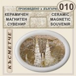 Ягодинска пещера :: Керамични магнитни елипси 2