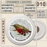 Триградско ждрело :: Керамични магнитни сувенири 9