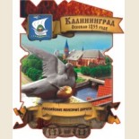 Калининград: Магнитные Сувениры 2