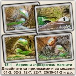 Деветашка пещера: Сувенири Мостри 13