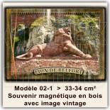 Belfort Souvenirs et Magnets 3