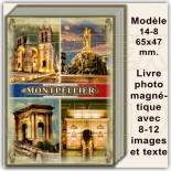 Montpellier Souvenirs et Magnets 32