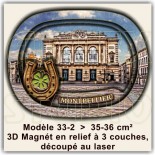 Montpellier Souvenirs et Magnets 35